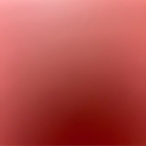 Meet your Posher, Blanca